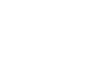 Artist